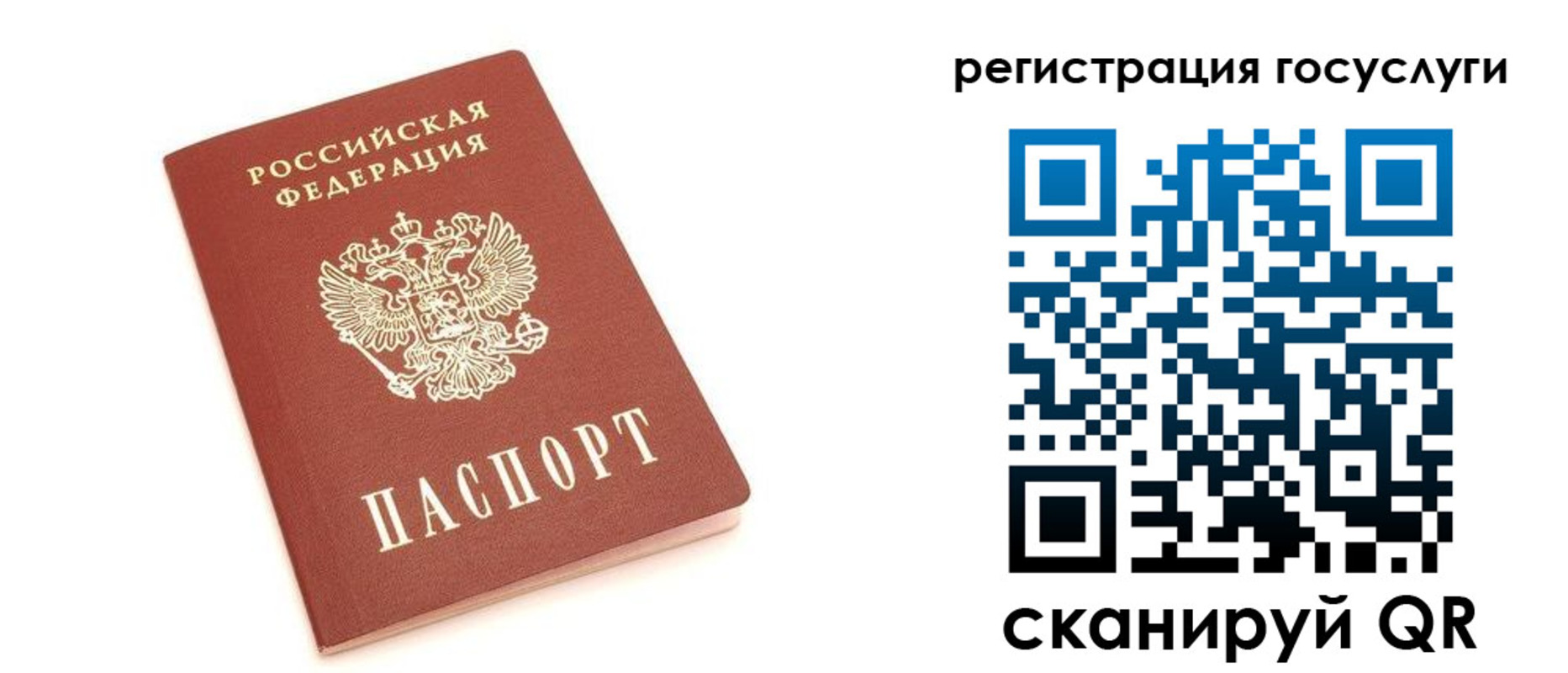 прописка 2025 в Сертолово